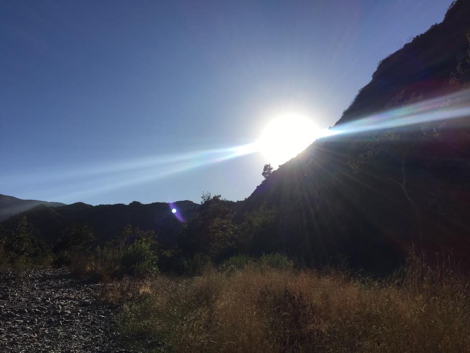 21687610_1452261334842384_6696569736910731000_n